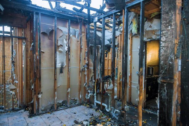 Professional Fire Damage Repair technician working in Pasadena, TX