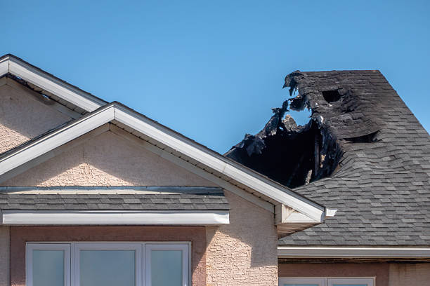 Top rated local Fire Damage Repair specialists in Pasadena, TX